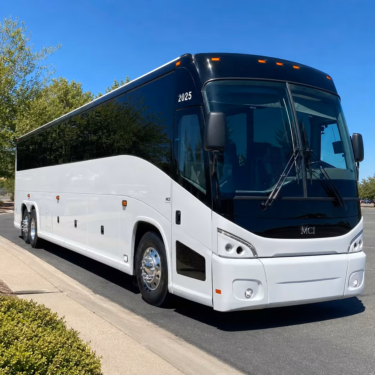 saginaw long distance transportation services