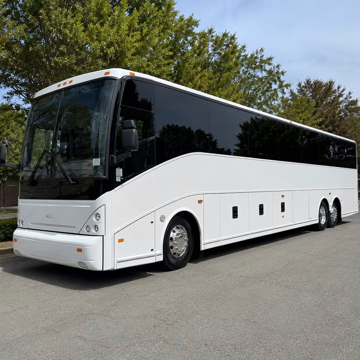 saginaw sprinter van rental with driver